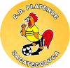 https://img.popclogs.com/img/football/team/63b0933cc303927659846a4ed54b1522.png